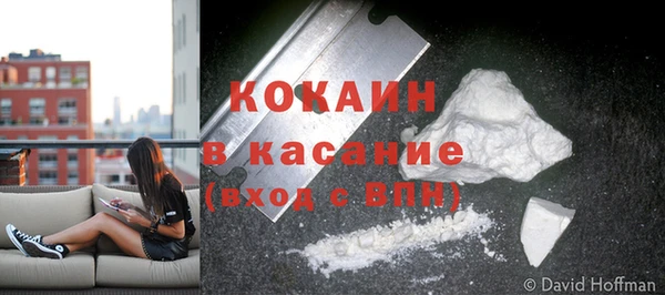 спайс Бородино