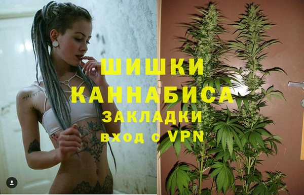 спайс Бородино