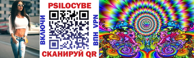 Галлюциногенные грибы ЛСД  дарнет шоп  Раменское 
